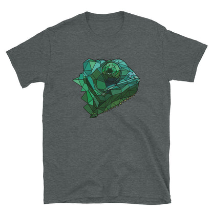 Chameleon t shirt