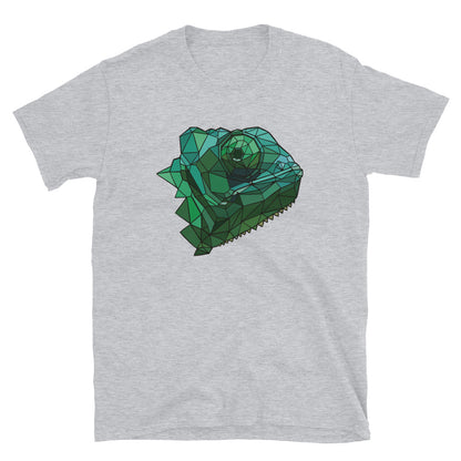 Chameleon t shirt